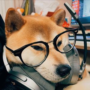 国模特冰冰白灵最好看
